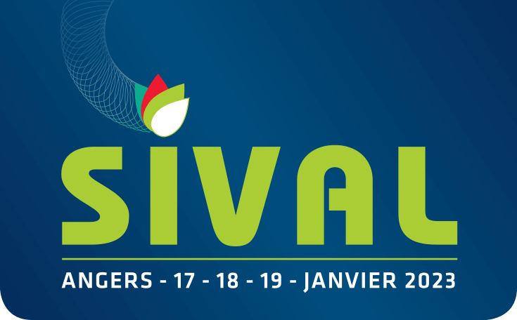 Salon Sival